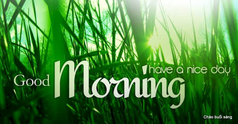 Cách khởi động buổi sáng giữa những ngày cách ly có thể thay đổi tương lai: Ngủ nướng rồi bắt đầu ngày mới với sự lo lắng, vô định thì đương nhiên thất bại!