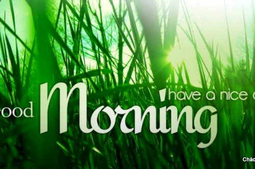 Cách khởi động buổi sáng giữa những ngày cách ly có thể thay đổi tương lai: Ngủ nướng rồi bắt đầu ngày mới với sự lo lắng, vô định thì đương nhiên thất bại!